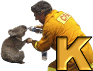 koala-1090987-11.gif