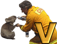 koala-1090987-22.gif