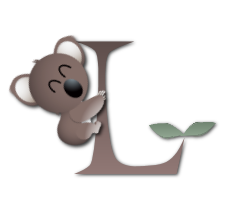 koala-5432566-12_1.png