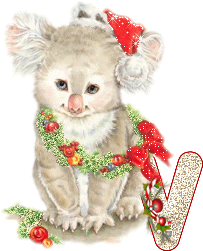 koala-5555-22.gif