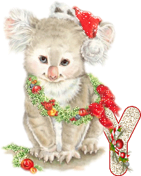 koala-5555-25.gif