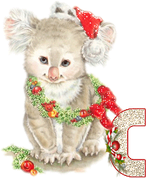 koala-5555-3.gif