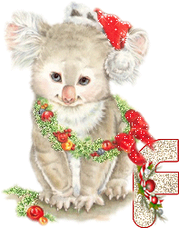 koala-5555-6.gif