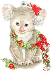 koala-5555-9.gif