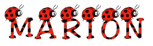 ladybug_by_donna_marion_majuscule.gif