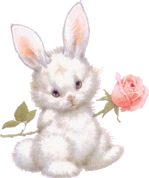 lapin-1324-4.gif