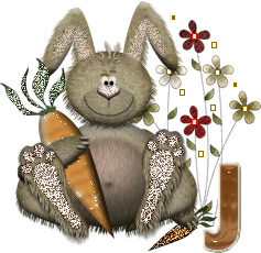 lapin-40034-10.gif