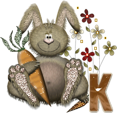 lapin-40034-11.gif
