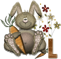 lapin-40034-12.gif