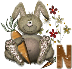 lapin-40034-14.gif