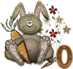 lapin-40034-15.gif