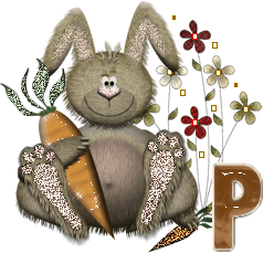 lapin-40034-16.gif