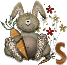 lapin-40034-19.gif