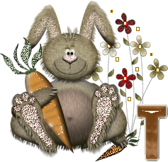 lapin-40034-20.gif