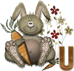 lapin-40034-21.gif