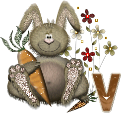 lapin-40034-22.gif