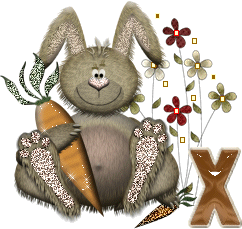 lapin-40034-24.gif