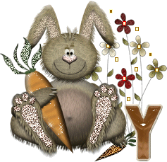 lapin-40034-25.gif