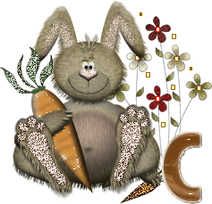 lapin-40034-3.gif