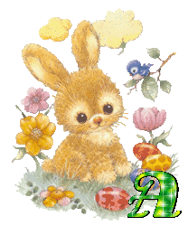 lapin-430340340-1.gif