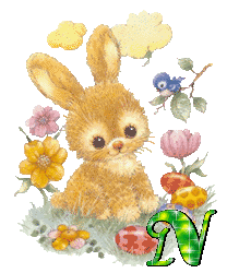 lapin-430340340-14.gif