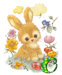 lapin-430340340-15.gif