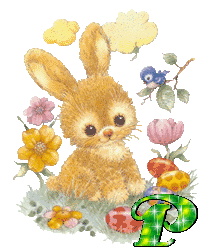 lapin-430340340-16.gif