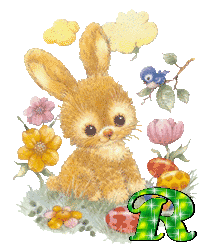 lapin-430340340-18.gif