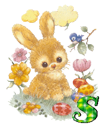 lapin-430340340-19.gif