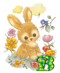 lapin-430340340-2.gif