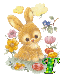 lapin-430340340-20.gif