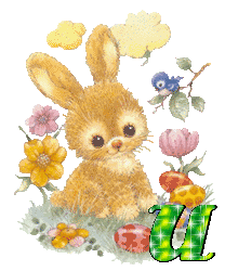 lapin-430340340-21.gif