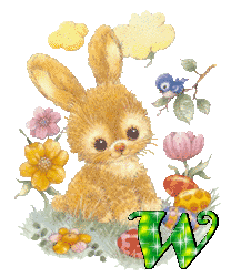lapin-430340340-23.gif