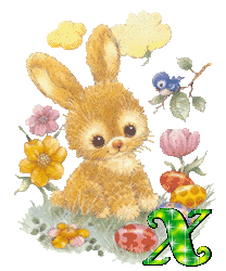 lapin-430340340-24.gif