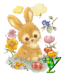 lapin-430340340-25.gif