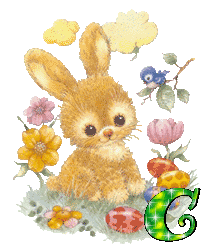 lapin-430340340-3.gif