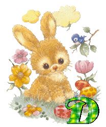 lapin-430340340-4.gif