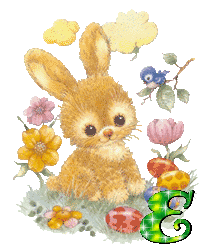 lapin-430340340-5.gif