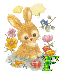 lapin-430340340-6.gif