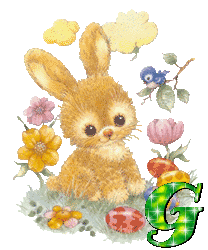 lapin-430340340-7.gif