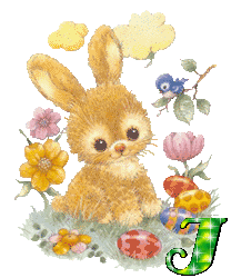 lapin-430340340-9.gif
