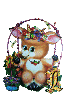 lapin-434343-12.jpg
