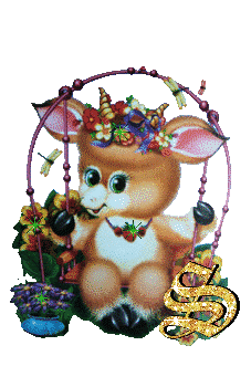 lapin-434343-19.jpg