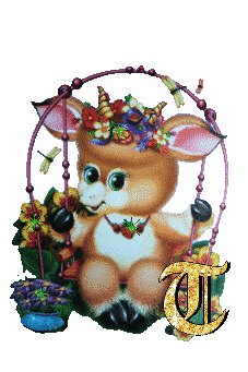 lapin-434343-20.jpg