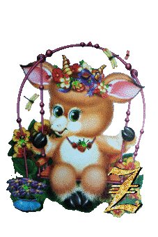 lapin-434343-26.jpg