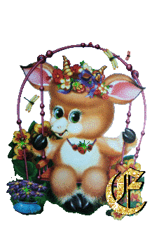 lapin-434343-5.jpg