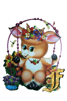 lapin-434343-6.jpg