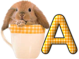 lapin-440506065066-1.png