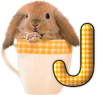 lapin-440506065066-10.png