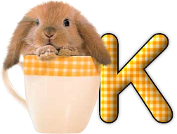 lapin-440506065066-11.png
